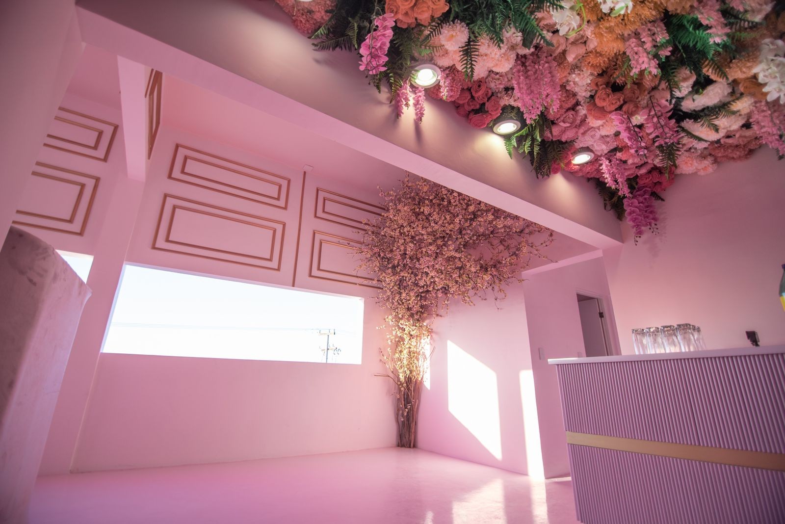 988d003d-be3e-4a7b-951c-2da1383b6a11 guillen