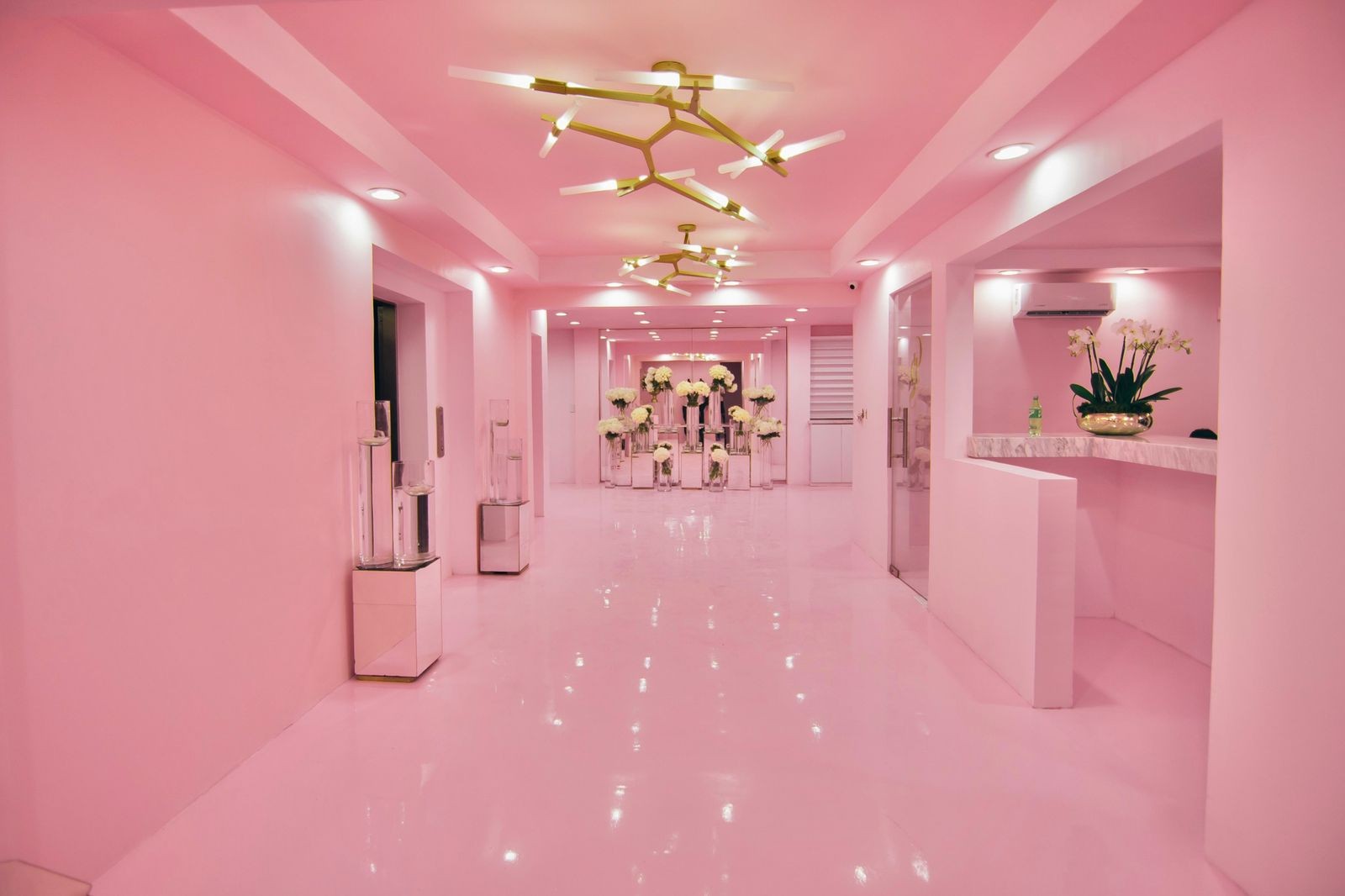 afd0c003-6b7f-4d18-a807-df8114145a20 guillen