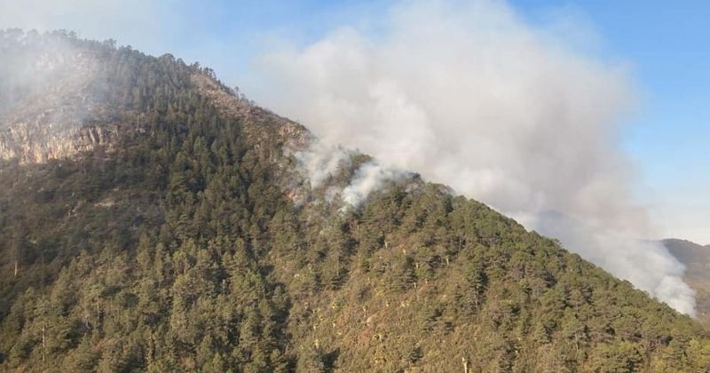 incendios forestales