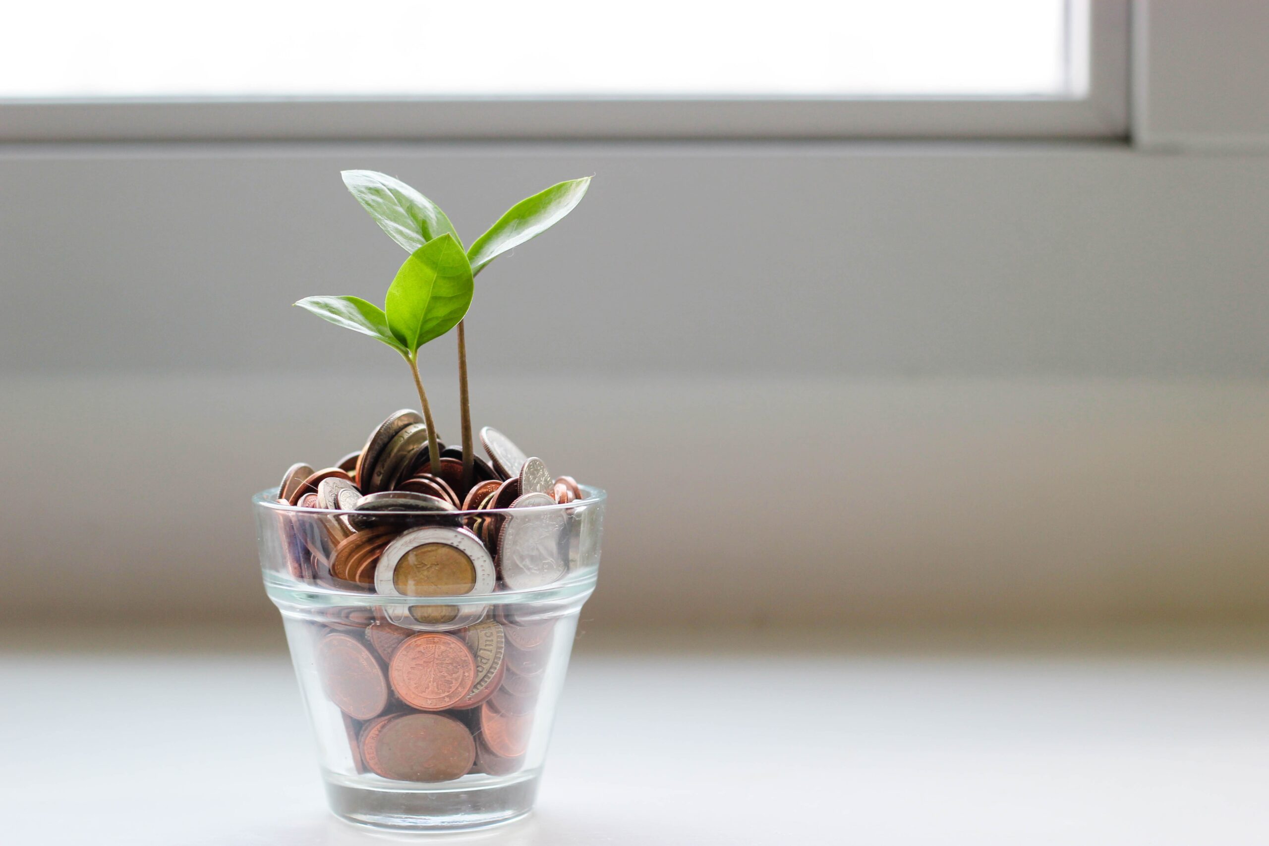 Día mundial ahorro: 5 tips para celebrarlo