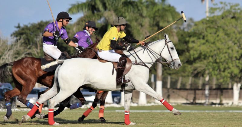 Todo listo para la Copa de Polo Jalisco