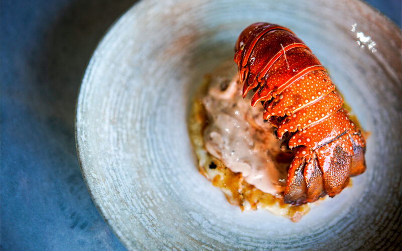 Inst-san-carlos-rest-2