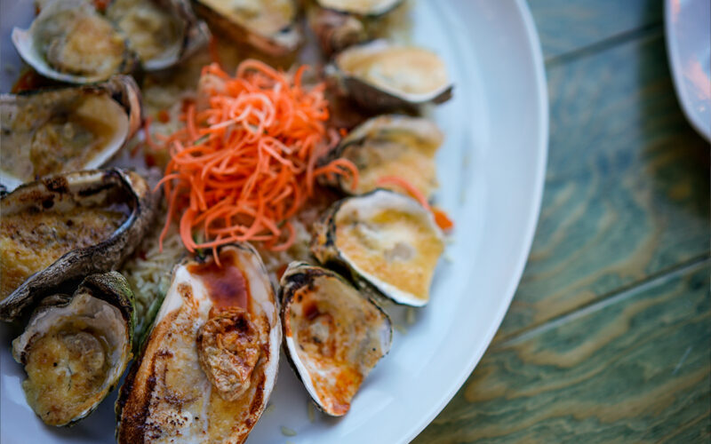 Inst-san-carlos-rest-4