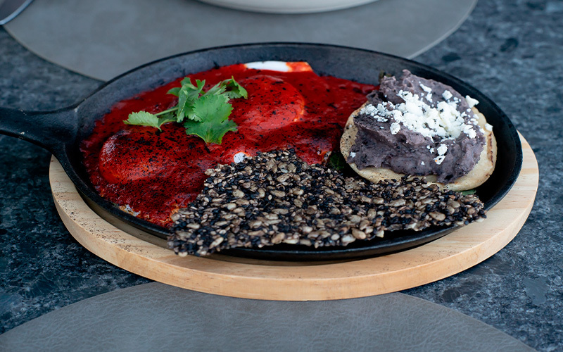 Querida Luna Querida Luna