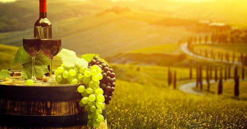 ¡Si eres amante del vino, no te puedes perder estos Pueblos Mágicos!