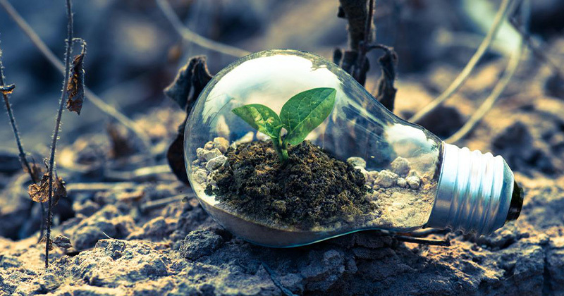 Economía verde