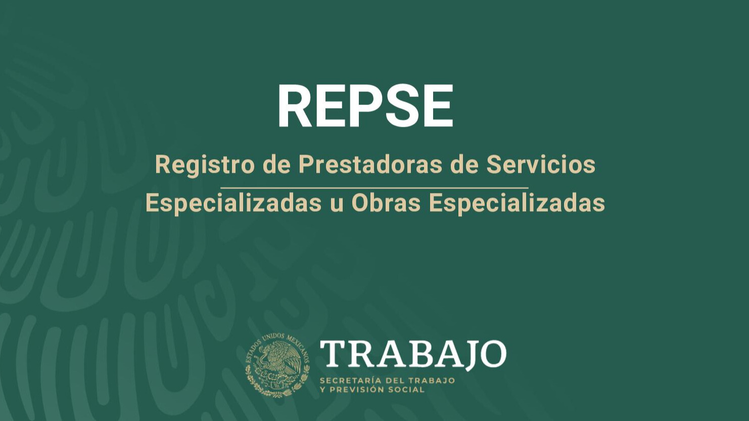 Imagen gubernamental sobre qué el Repse.
