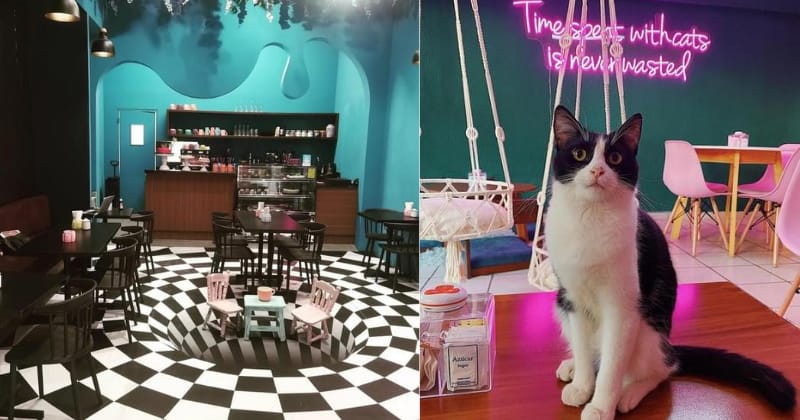 Cafés temáticos en Guadalajara