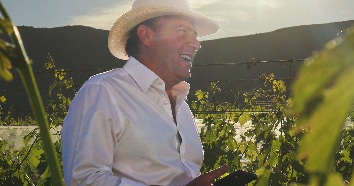 David Mendel: Un brindis por la tradición