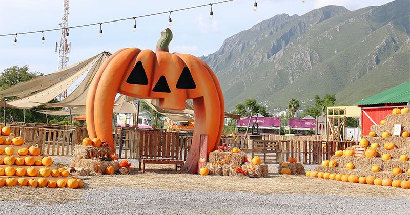 Pumpkin Dash Monterrey
