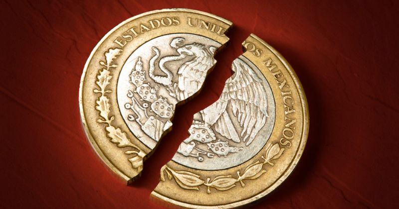 COLUMNA: EL “ERROR DE DICIEMBRE 1994” CAUSAS Y AFECTACIONES AL SECTOR PRIVADO Por Berenice Saucedo