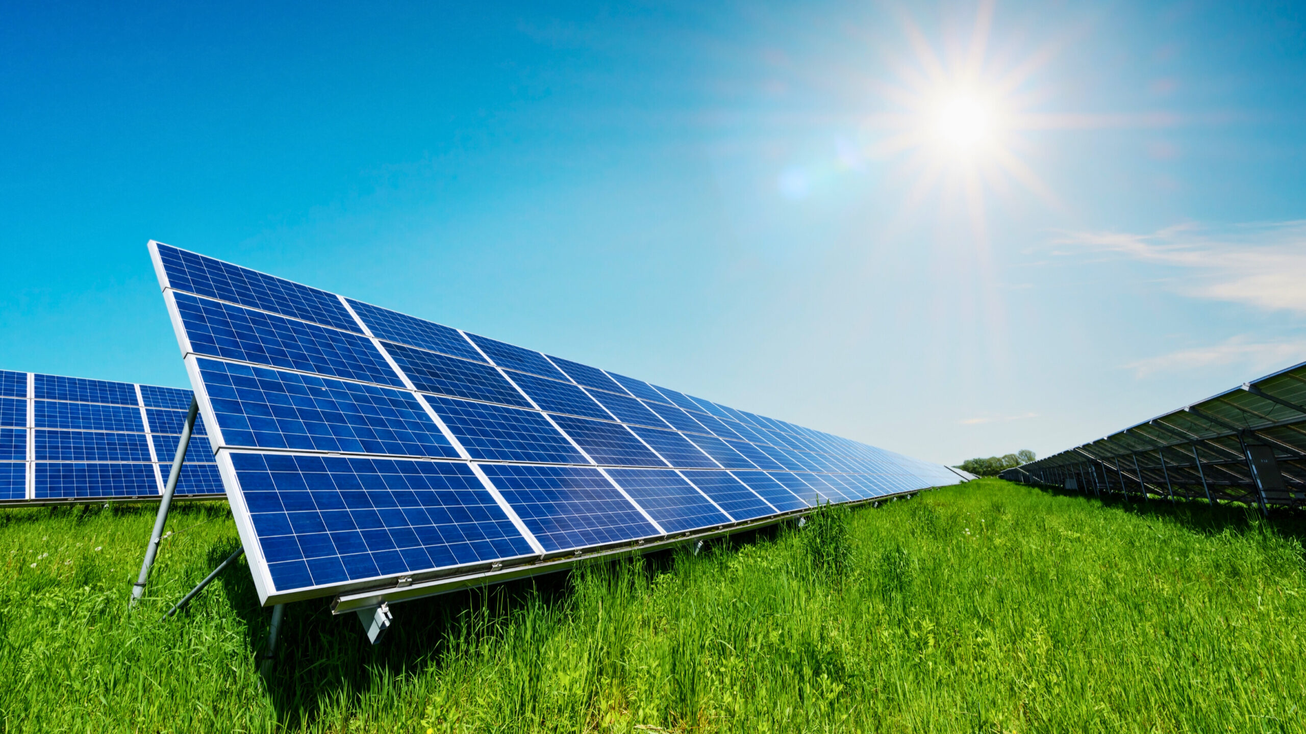 Eco Crédito Sustentable para empresas, del Gobierno de México, busca dar un paso significativo hacia la sostenibilidad ambiental.