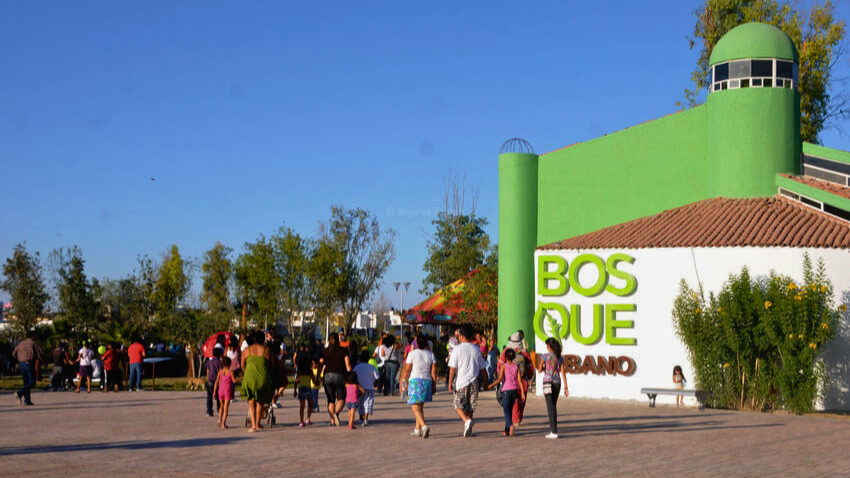 Si estás en búsqueda de plan para este Día del Niño 2024, aquí te compartimos varias recomendaciones de qué hacer en Torreón gratis.