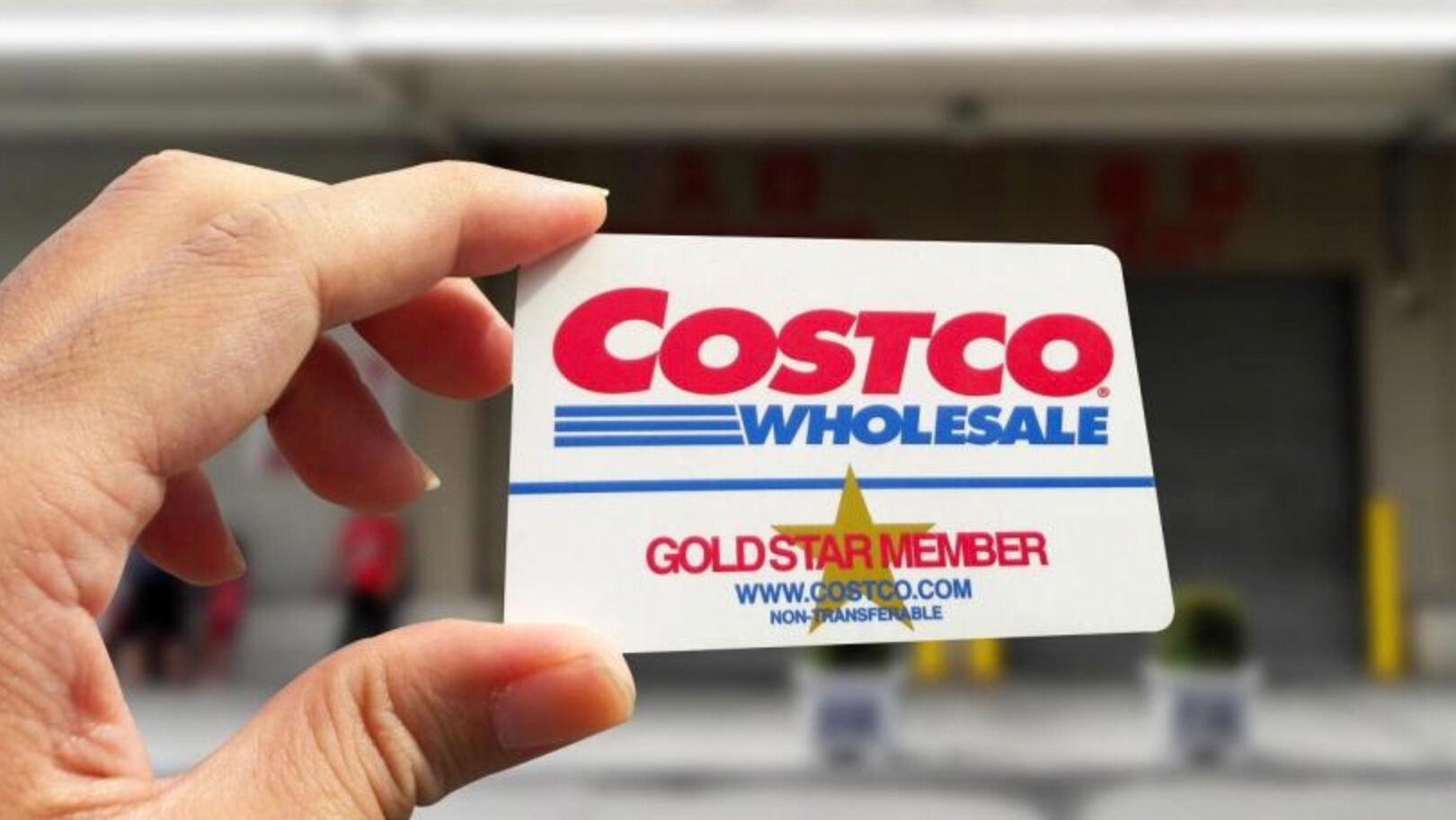 Inauguración de Costco Torreón: ¿Puedo utilizar la membresía que tramité en otra entidad?