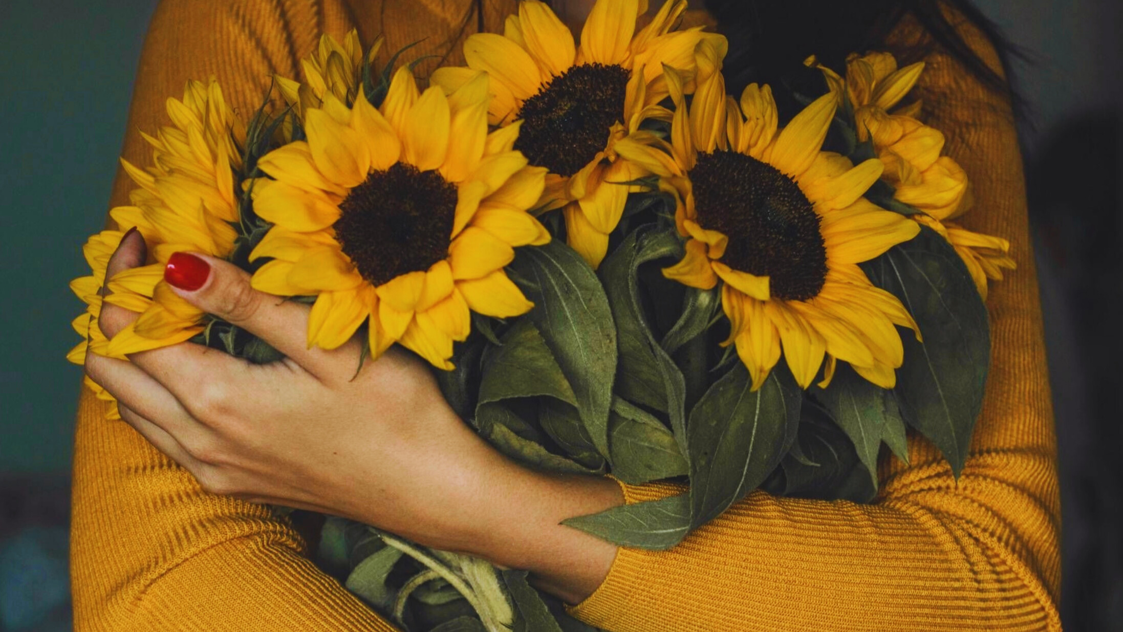 Te decimos todo sobre el significado de las flores amarillas este 21 de marzo
