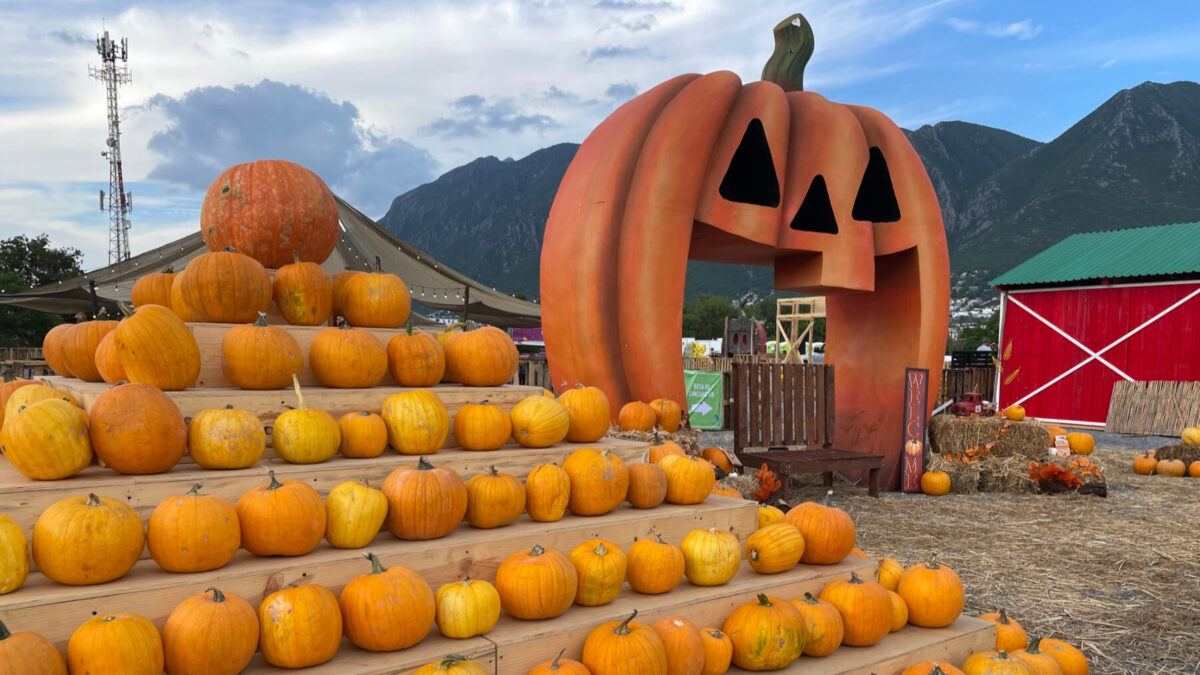 Pumpkin Dash 2025 llega por primera vez a Torreón: Esto se sabe