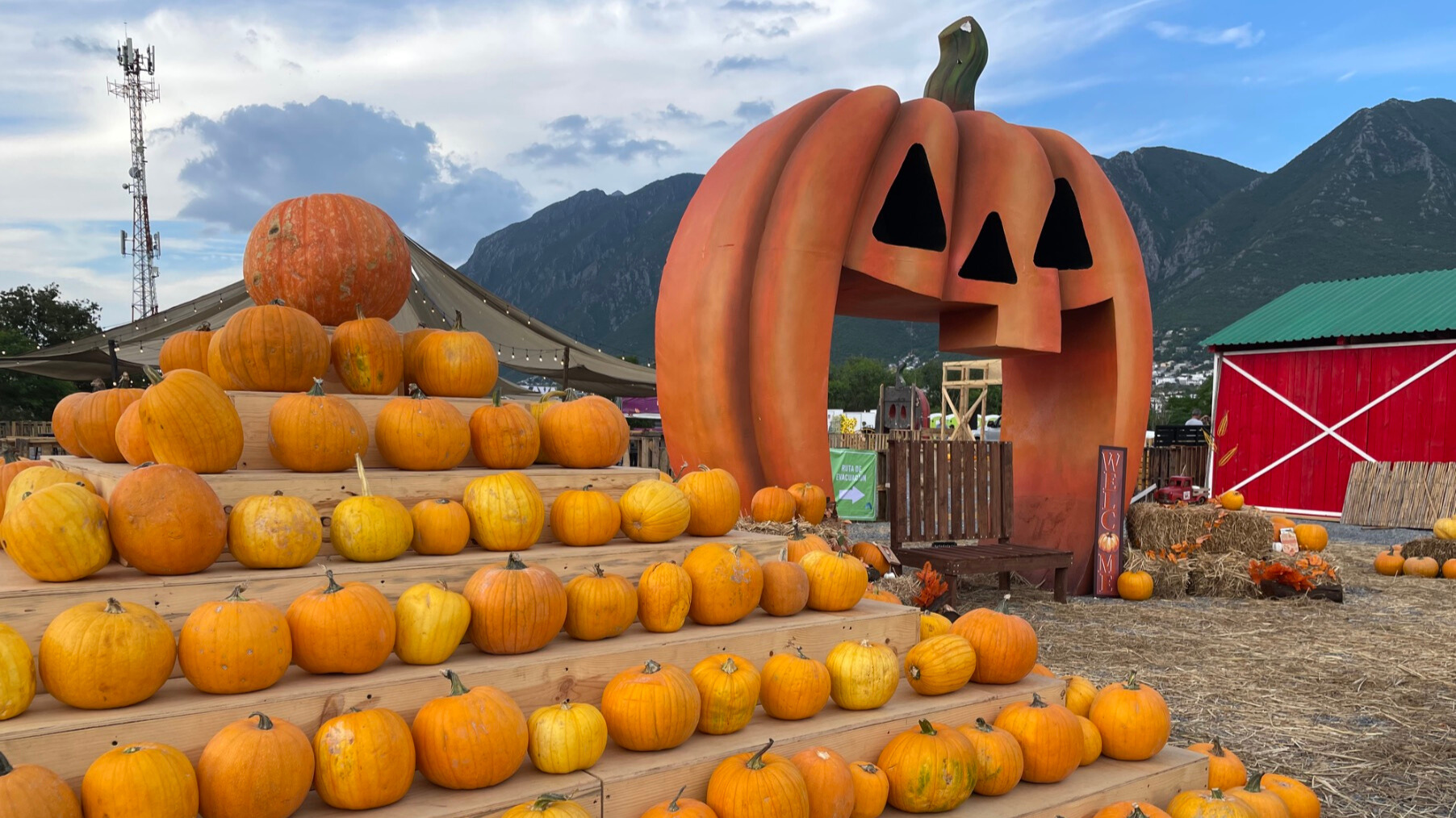 Pumpkin Dash 2025 llega por primera vez a Torreón: Esto se sabe