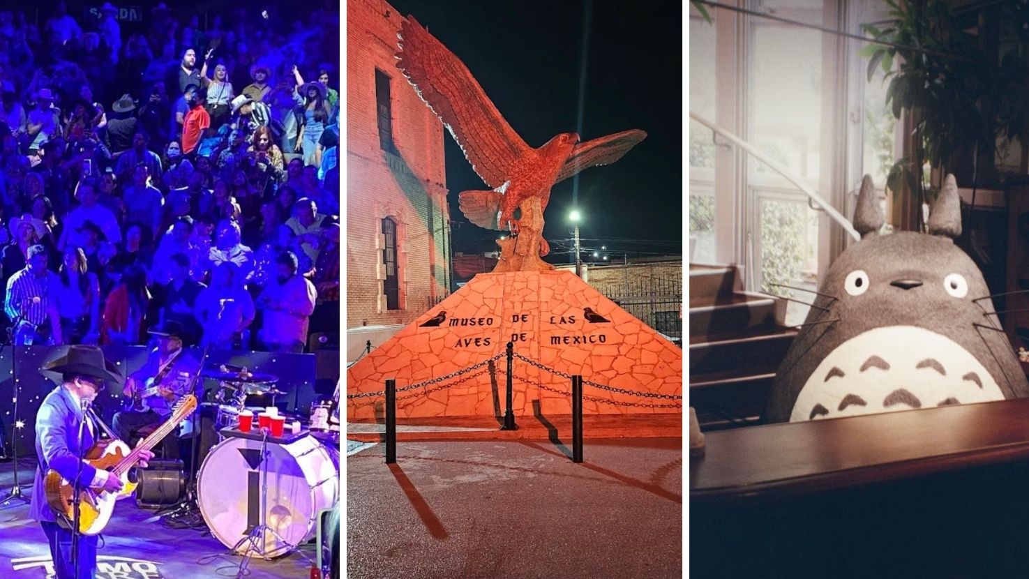 Saltillo se activa en agosto con música, deporte y espectáculos: Conoce la agenda completa
