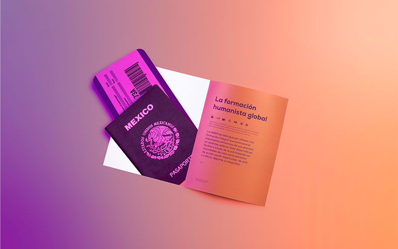 informe-reset-correcto