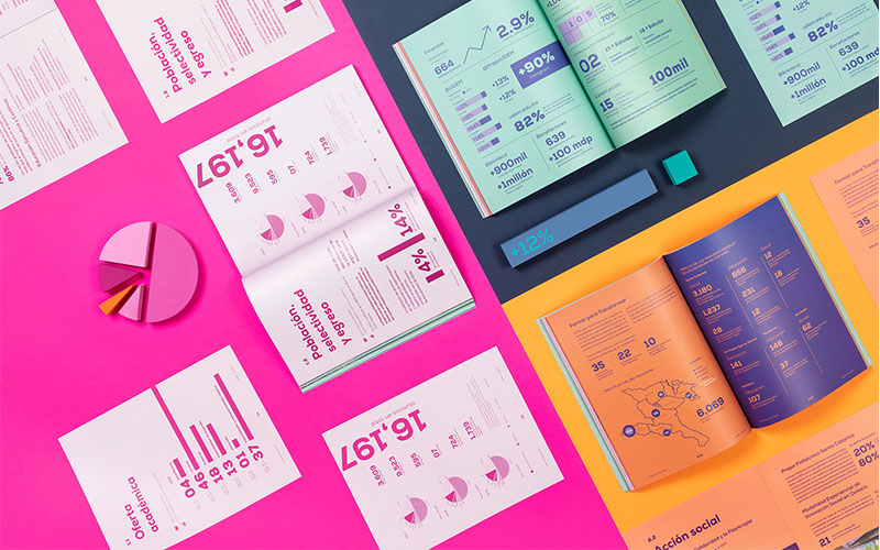 udem-informe-anual-reset-agencia-01