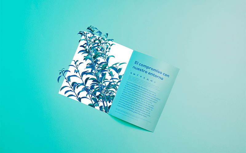 udem-informe-anual-reset-agencia-02