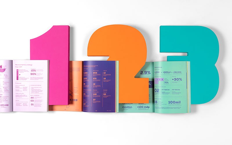 udem-informe-anual-reset-agencia-07